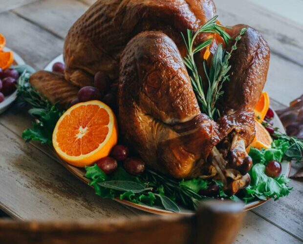 Pernil de Natal, um pássaro arrogante