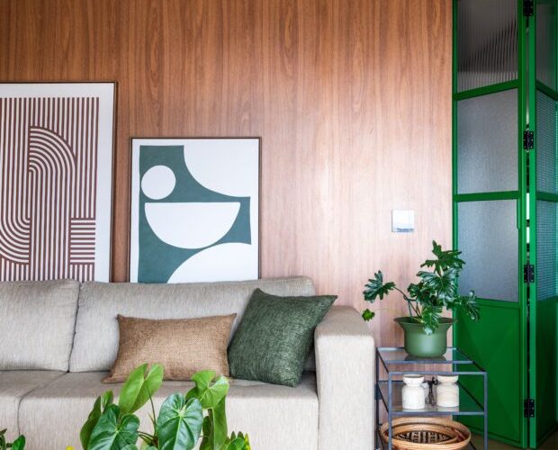 7 sugestões para escolher as melhores plantas decorativas para o lar.