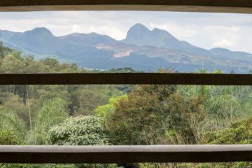 Inhotim celebra duas décadas com exposições inéditas e instalação monumental