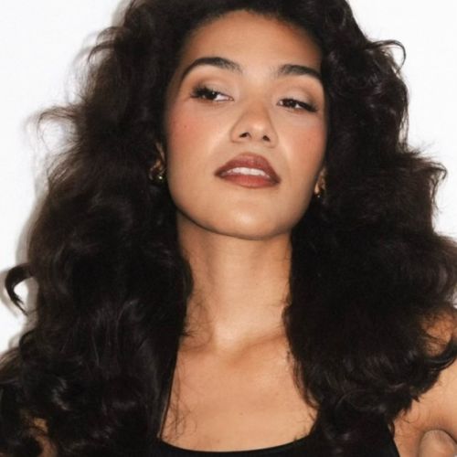 Secadores de cabelo: 7 modelos versáteis que transformam o difusor em babyliss em um único dispositivo