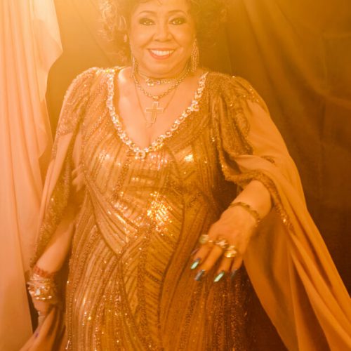 Alcione presta tributo a sambistas com trajes icônicos durante sua turnê