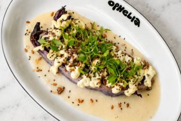 Repolho em alta: descubra 5 receitas deliciosas para aproveitar esse supervegetal!
