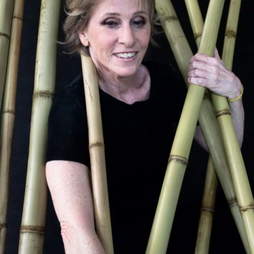 Deborah Colker reflete: “Foi positivo fazer uma introspecção